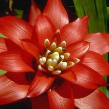 Cross stitch pattern: #581961