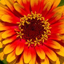 Cross stitch pattern: #581969