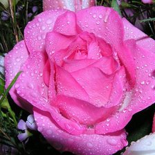 Cross stitch pattern: #581973