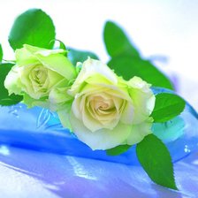 Cross stitch pattern: #582119