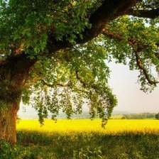 Cross stitch pattern: #582266