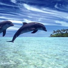 Cross stitch pattern: #582280