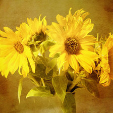 Cross stitch pattern: #583386