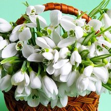 Cross stitch pattern: #583402