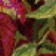Preview of cross stitch pattern: #583403