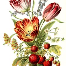 Cross stitch pattern: #583414