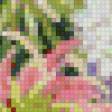Preview of cross stitch pattern: #583416