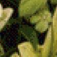 Preview of cross stitch pattern: #583417