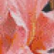 Preview of cross stitch pattern: #583438