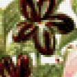 Preview of cross stitch pattern: #583439
