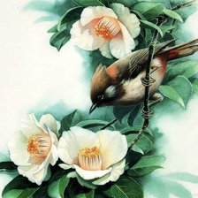 Cross stitch pattern: #583446