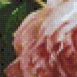 Preview of cross stitch pattern: #583450