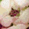 Preview of cross stitch pattern: #583455