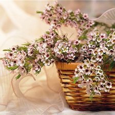 Cross stitch pattern: #583457