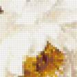 Preview of cross stitch pattern: #583468