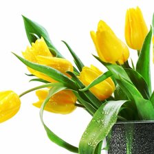 Cross stitch pattern: #583470