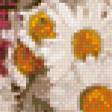 Preview of cross stitch pattern: #583483