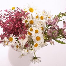 Cross stitch pattern: #583483