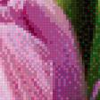 Preview of cross stitch pattern: #583485