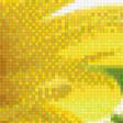 Preview of cross stitch pattern: #583495