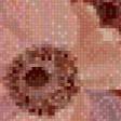 Preview of cross stitch pattern: #583498