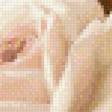 Preview of cross stitch pattern: #583513