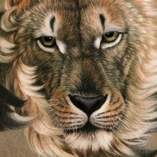 Cross stitch pattern: #583517