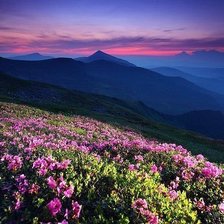 Cross stitch pattern: #583692