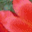 Preview of cross stitch pattern: #583696