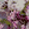 Preview of cross stitch pattern: #584228