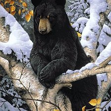 Cross stitch pattern: #584430
