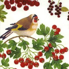 Source of cross stitch pattern: #584628