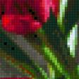 Preview of cross stitch pattern: #585143