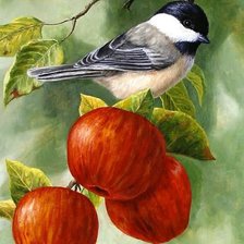 Cross stitch pattern: #585221