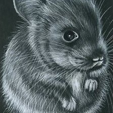 Cross stitch pattern: #585243