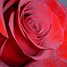 Cross stitch pattern: #585391