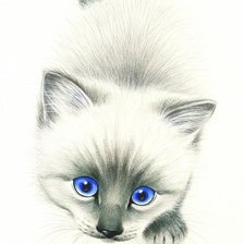 Cross stitch pattern: #585427