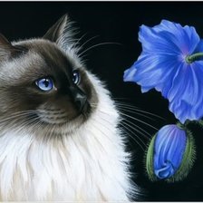 Cross stitch pattern: #585428