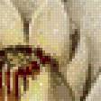Preview of cross stitch pattern: #585430