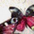 Preview of cross stitch pattern: #585514