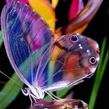 Cross stitch pattern: #586053