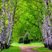 Cross stitch pattern: #586065