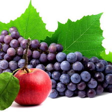 Cross stitch pattern: #586066