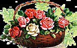 Cross stitch pattern: #586072