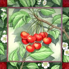 Cross stitch pattern: #586158