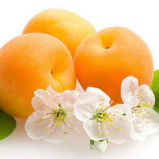 Cross stitch pattern: #586217