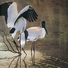 Cross stitch pattern: #586227