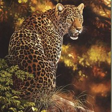 Cross stitch pattern: #586236