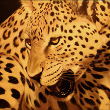 Cross stitch pattern: #587233