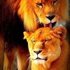 Cross stitch pattern: #587239